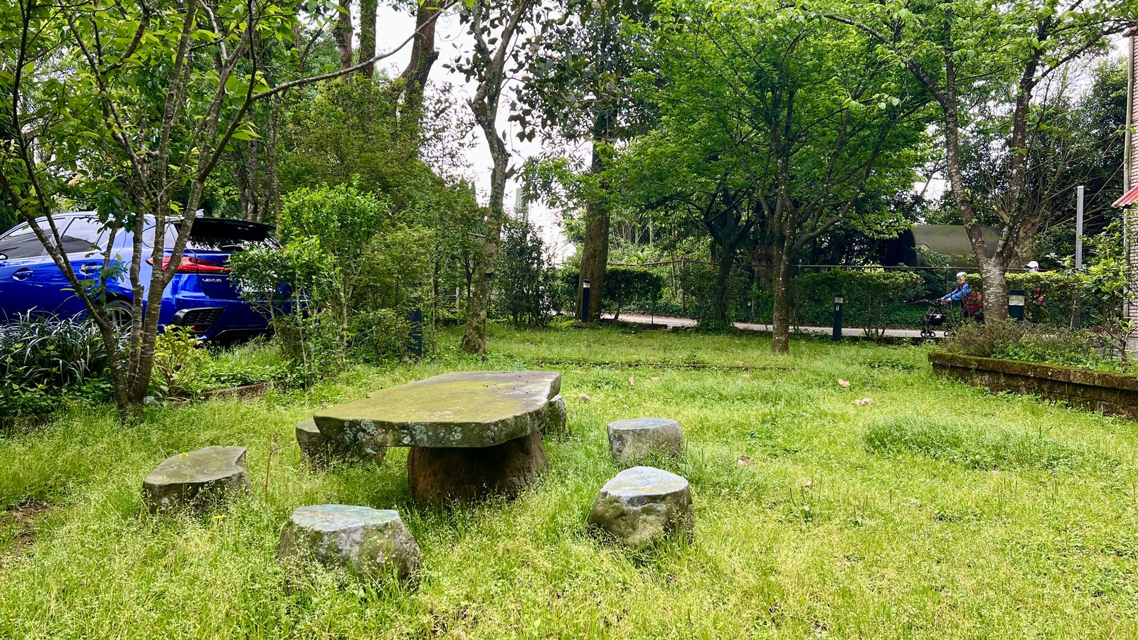 照片3